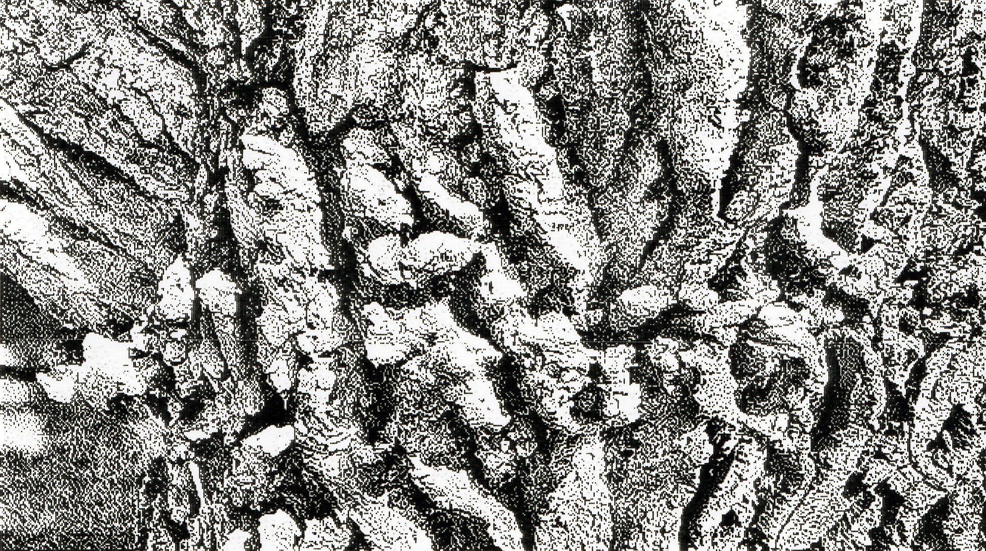 Barking up the wrong tree, Thomas Drive, Strathmore, AB, 2026-03-22