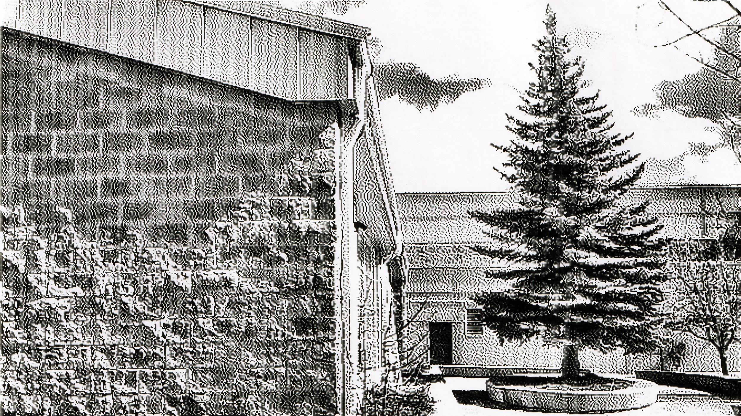 Blessed be this tree, Strathmore High, Strathmore, AB, 2026-03-22
