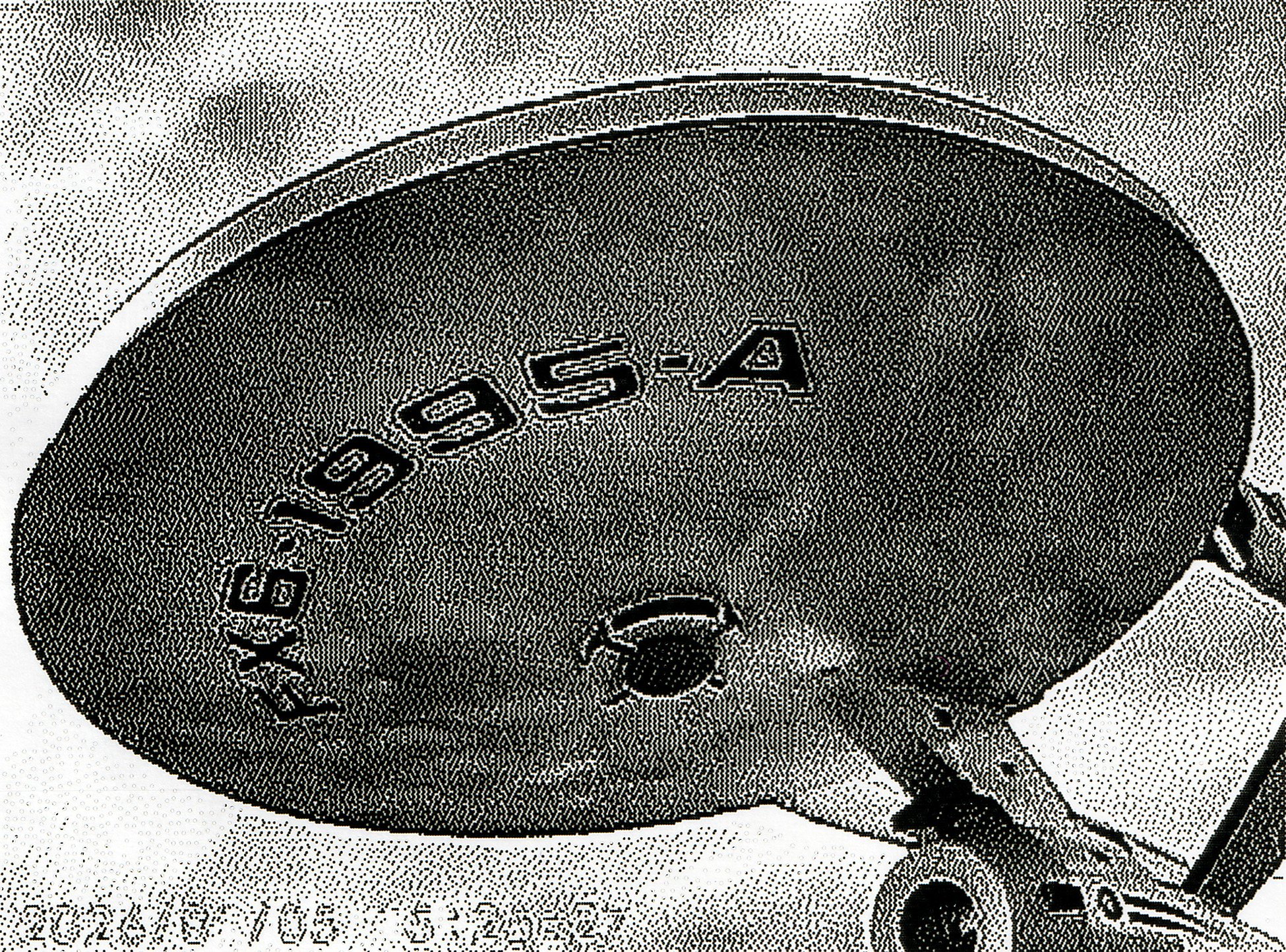 She's a real dish, Vulcan, AB, 2026-03-07