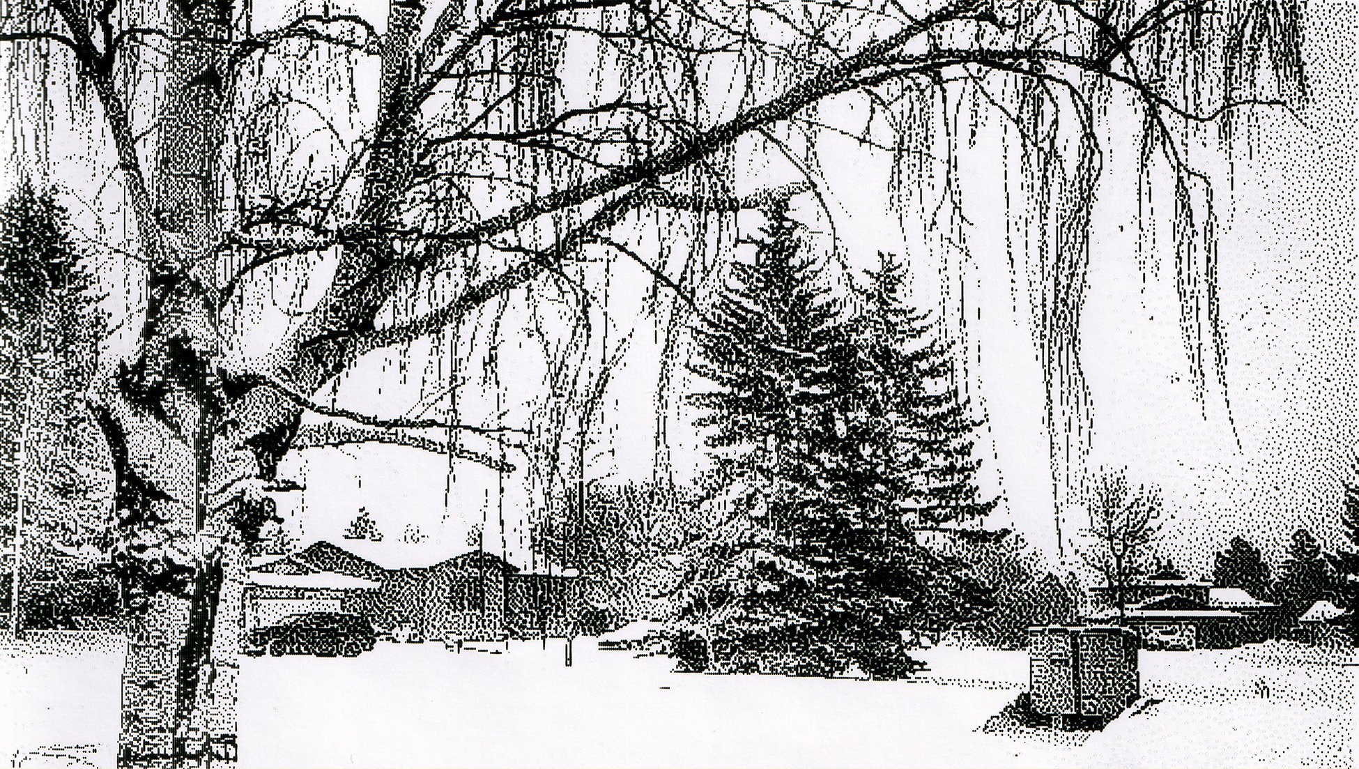Snow day, Strathmore, AB, 2026-03-12
