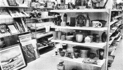 Sally Ann Interior 01, Strathmore, AB, 2024-12-02