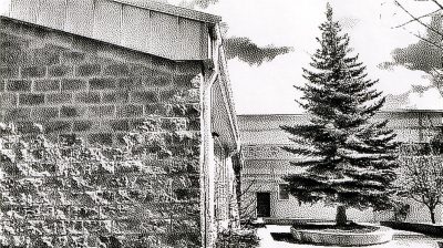 Blessed be this tree, Strathmore High, Strathmore, AB, 2026-03-22