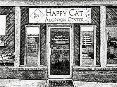 Happy Cat Adoption Center, Strathmore, AB, 2026-03-13