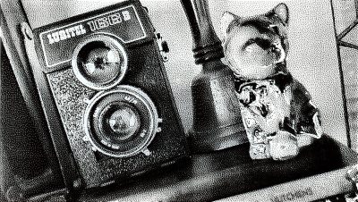 Lubitel 166B TLR, Casa McCormick, Strathmore, AB, 2024-12-13