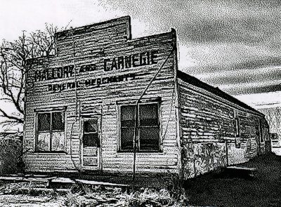Mallory and Carnegie (Sexy Shot), General Merchants, Vulcan County, AB, 2026-03-07