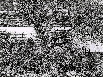 Mallory and Overgrowntree, General Merchants, Vulcan County, AB, 2026-03-07