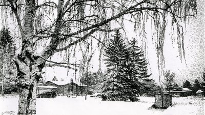 Snow day, Strathmore, AB, 2026-03-12