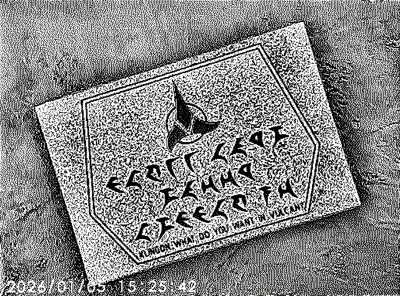 When Albertans use foreign languages, Vulcan, AB, 2026-03-07