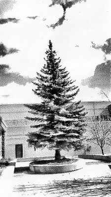 Windswept, Strathmore High, Strathmore, AB, 2026-03-22