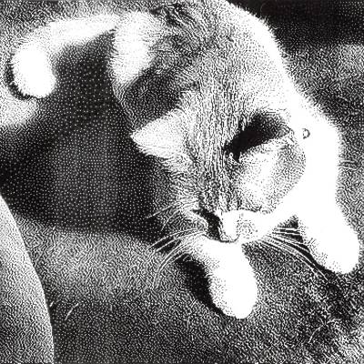 Wherein he gets hair on my chair, Casa McCormick, Strathmore, AB, 2024-12-02