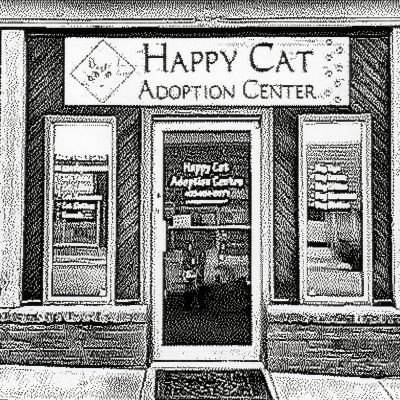 Happy Cat Adoption Center, Strathmore, AB, 2026-03-13