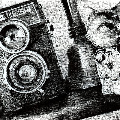 Lubitel 166B TLR, Casa McCormick, Strathmore, AB, 2024-12-13