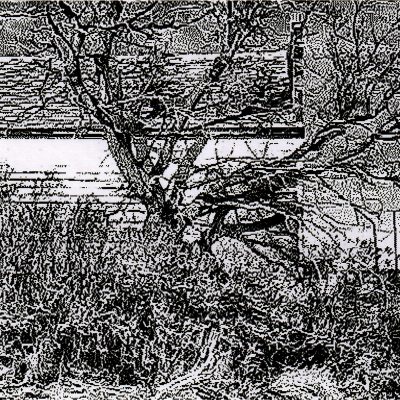 Mallory and Overgrowntree, General Merchants, Vulcan County, AB, 2026-03-07