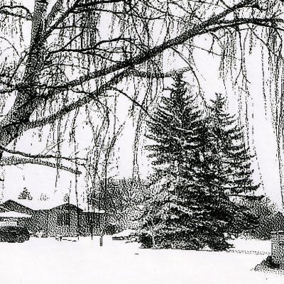 Snow day, Strathmore, AB, 2026-03-12