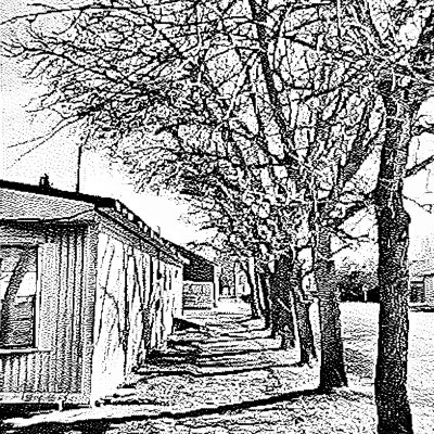 Trees past the trailer, Barons, AB, 2026-03-07