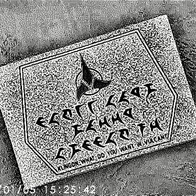 When Albertans use foreign languages, Vulcan, AB, 2026-03-07