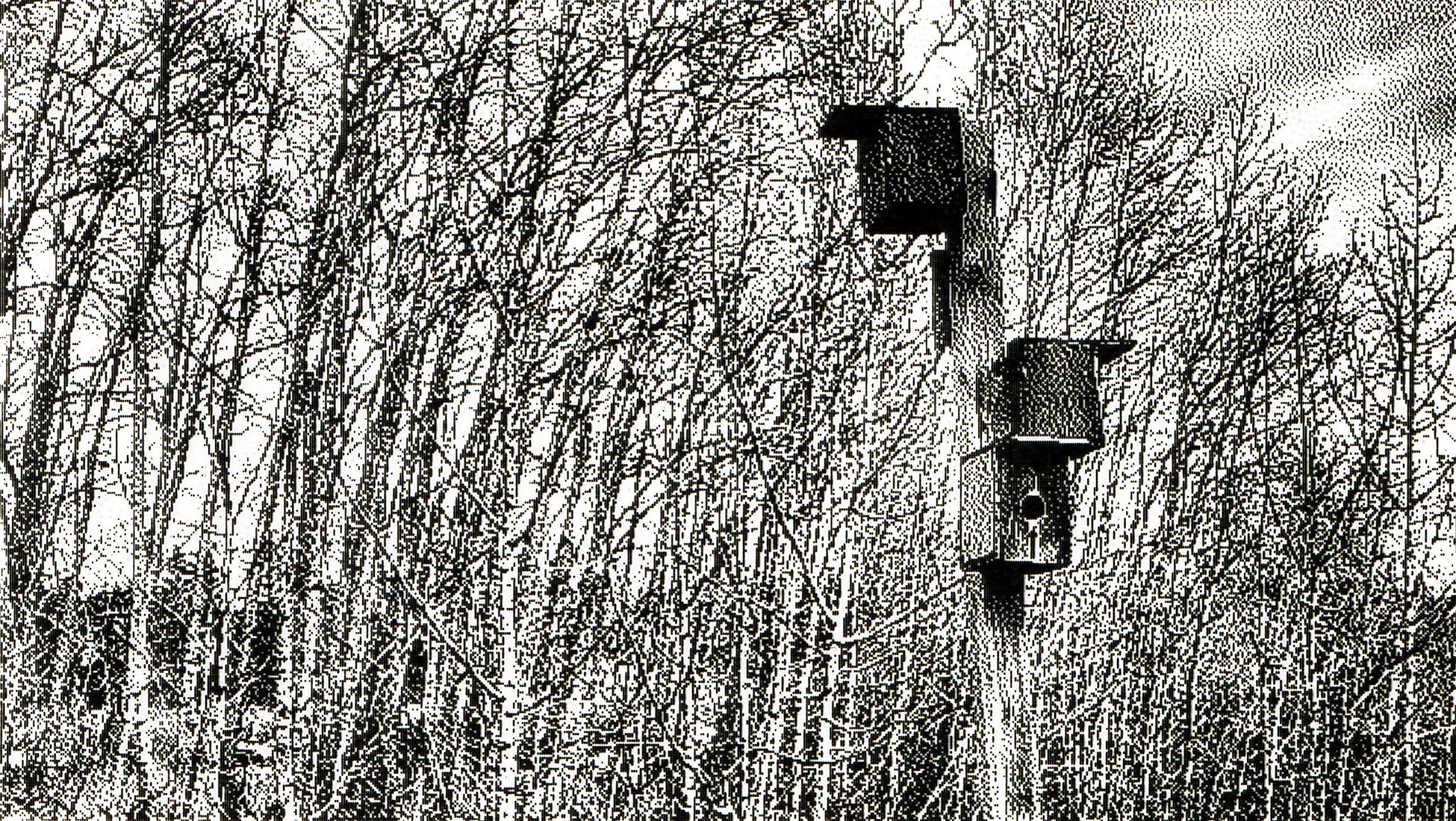 To the birds, again, Gray Park, Strathmore, AB, 2026-03-19