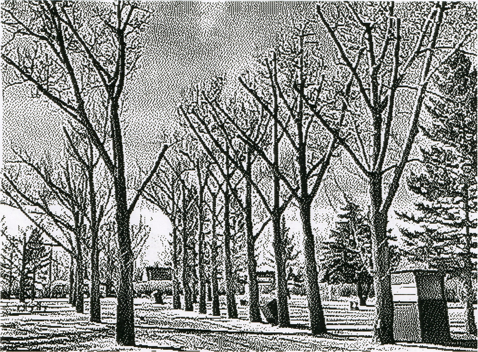 Trees in the municipal campground, Barons, AB, 2026-03-07