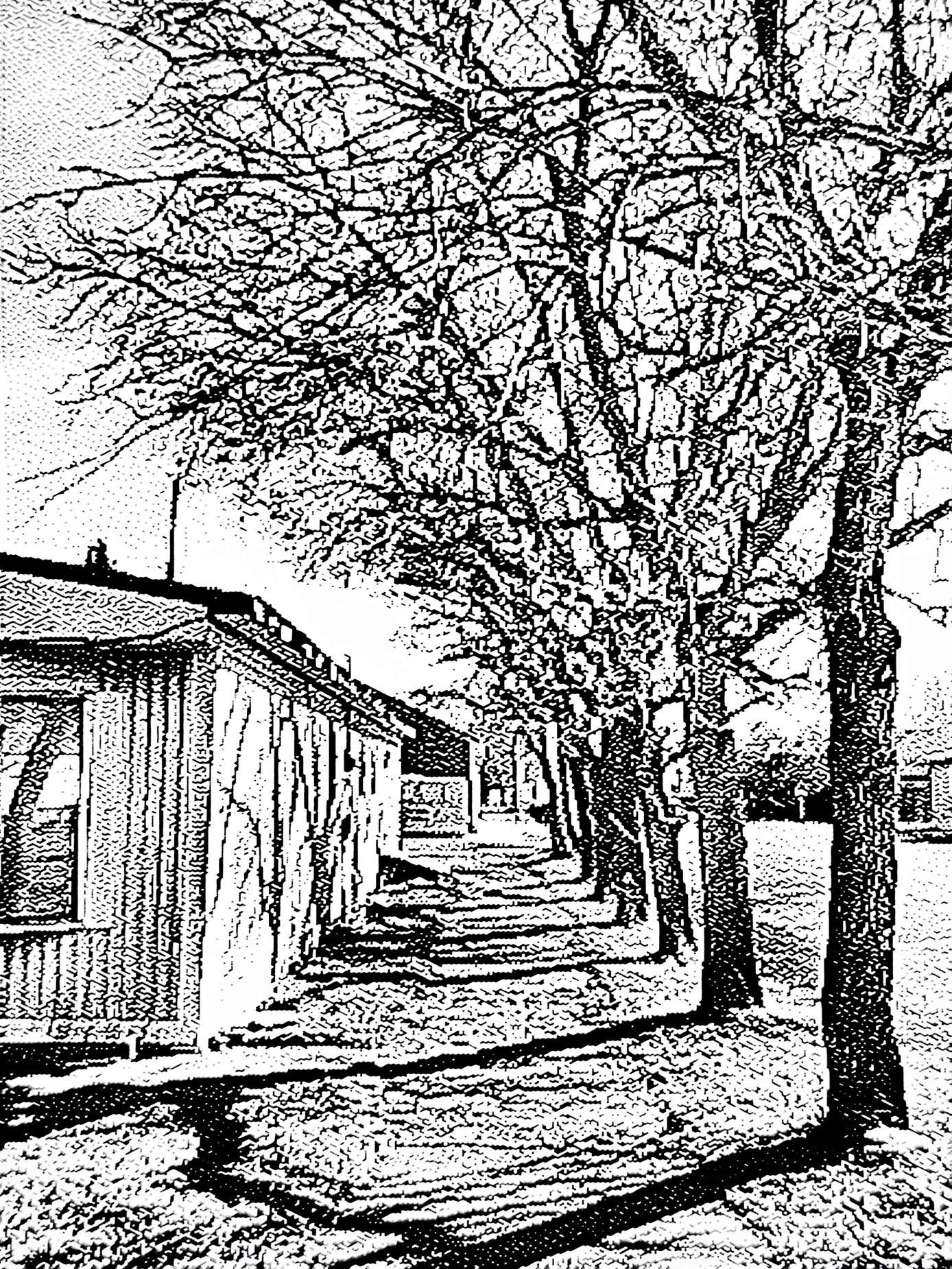 Trees past the trailer, Barons, AB, 2026-03-07