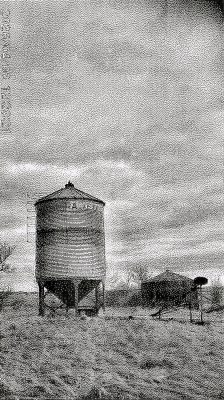 Twister, Sunnyridge Farm, Kirriemuir, AB, 2026-04-04