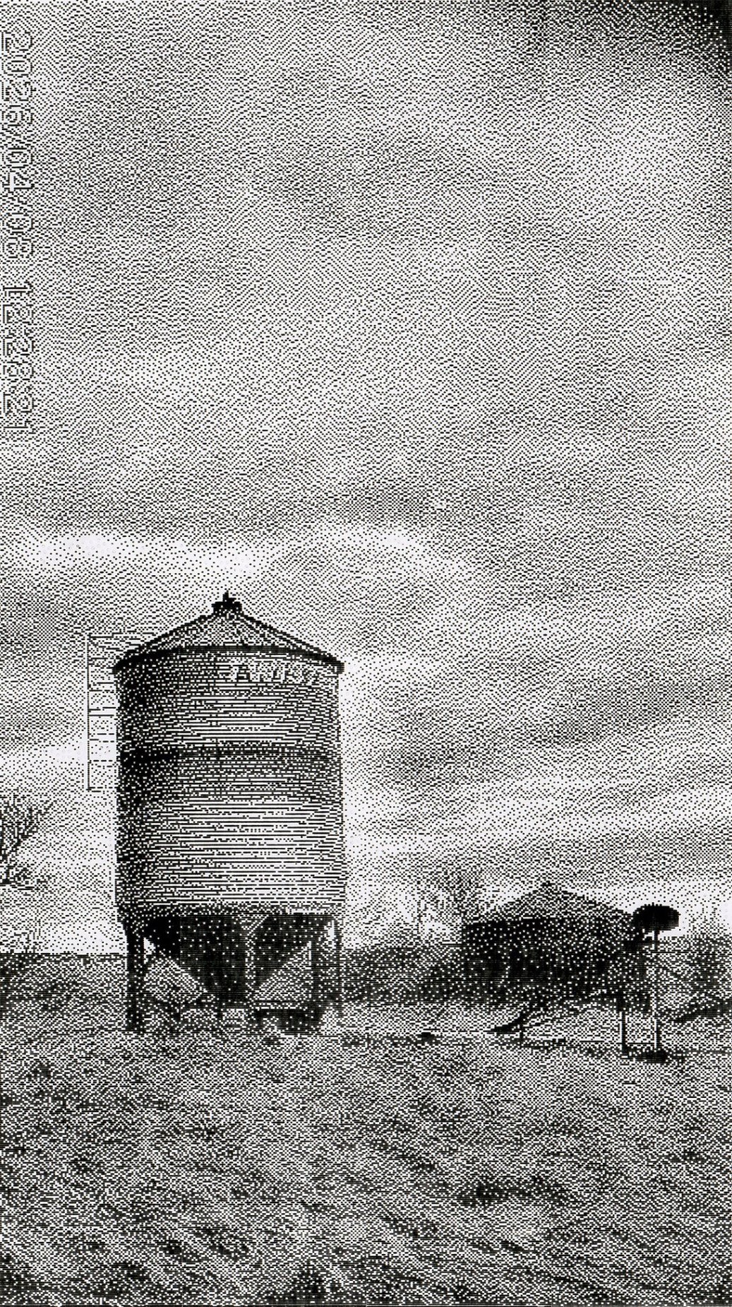 Twister, Sunnyridge Farm, Kirriemuir, AB, 2026-04-04