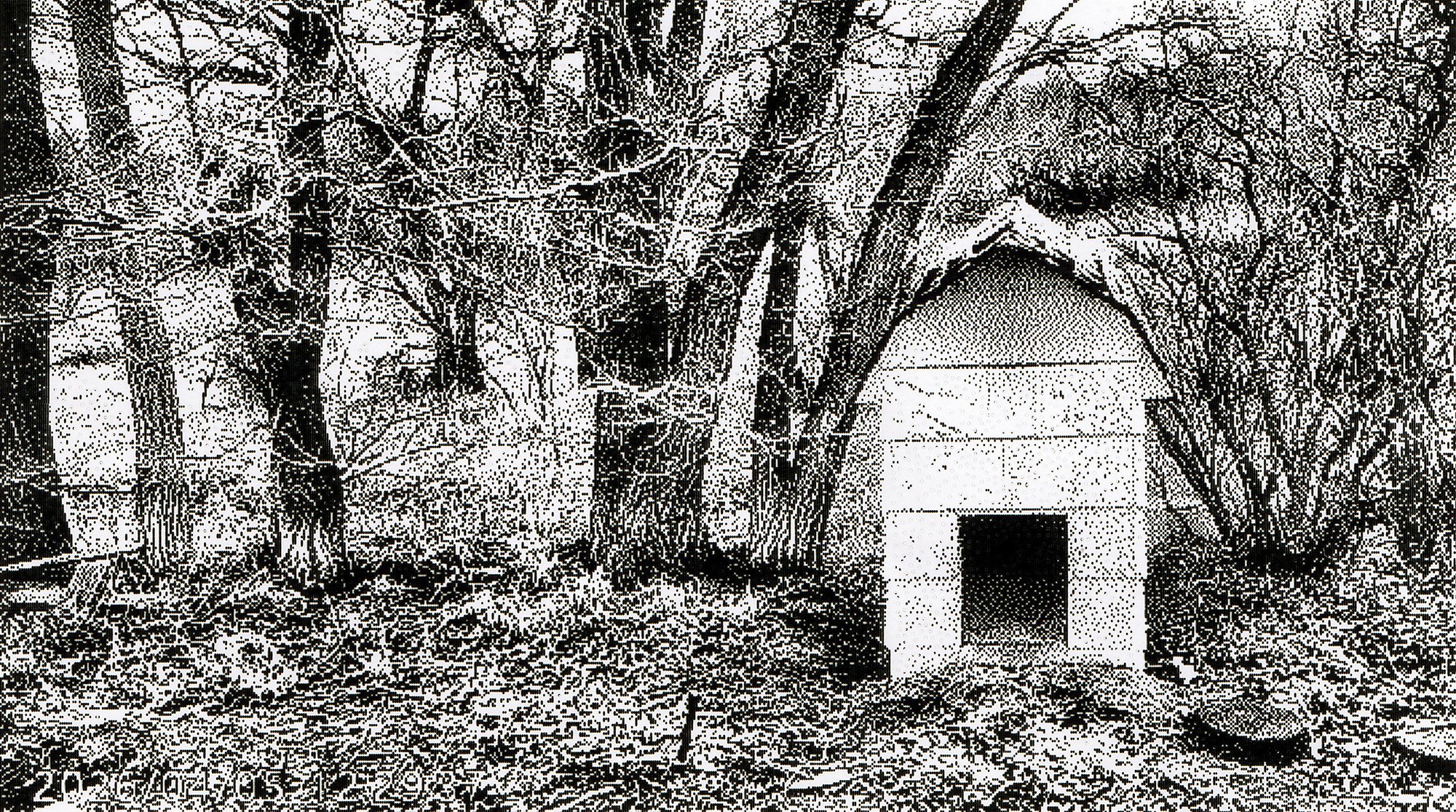 Dog gone, Sunnyridge Farm, Kirriemuir, AB, 2026-04-04