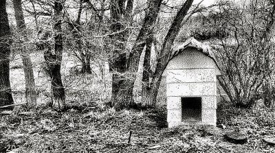 Dog gone, Sunnyridge Farm, Kirriemuir, AB, 2026-04-04