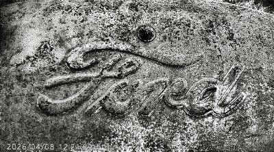 Ford logo, Sunnyridge Farm, Kirriemuir, AB, 2026-04-04