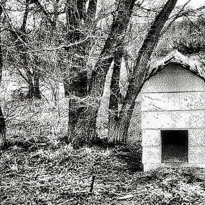 Dog gone, Sunnyridge Farm, Kirriemuir, AB, 2026-04-04