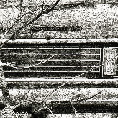 80s blue Mercury Grand Marquis, abandoned, trees growing against it.